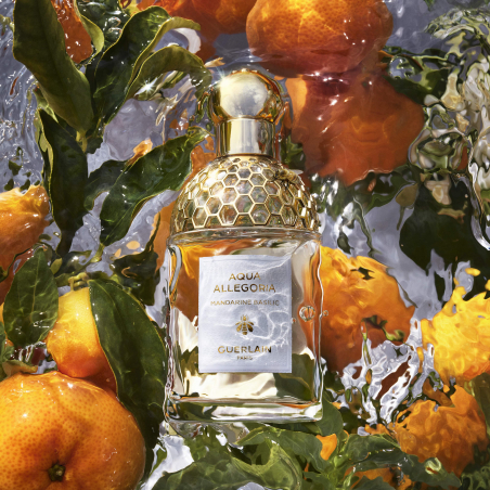 SET AQUA ALLEGORIA MANDARINE BASILIC EAU DE TOILETTE