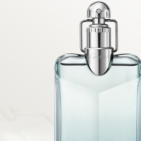 Déclaration Eau de Toilette Essence