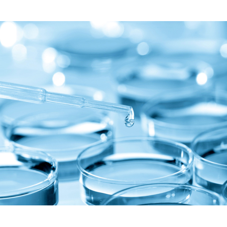 Kiehl´s Clearly Corrective™ Accelerated Clarity Renewing Ampoules