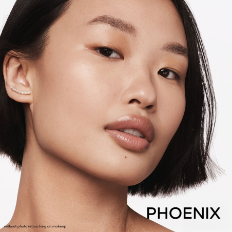 Météorites Phoenix Edició Limitada
