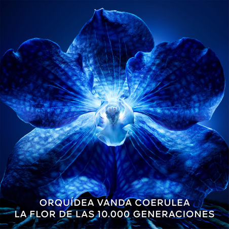 Orchidée Imperial La Crema Rica de Longevitat