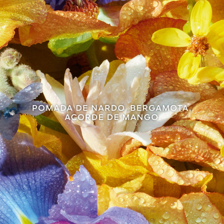 Aqua Allegoria Florabloom Crema de Mans