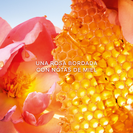 La Petite Robe Noire Honey Rose Eau de Parfum Edició Limitada