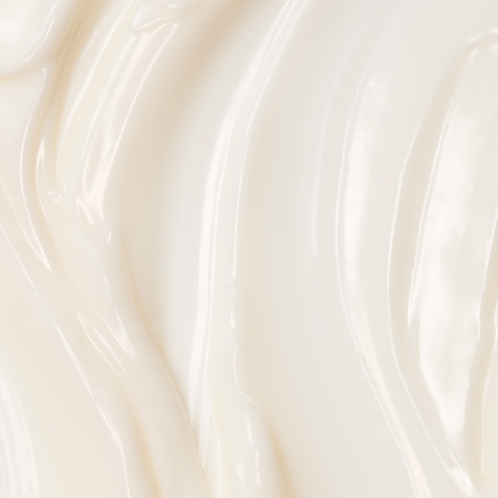 Absolute Silk Illuminative Cream