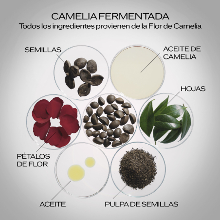 Ultimune Power Infusing Serum