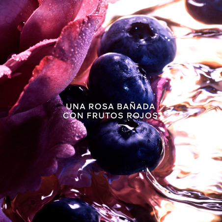 Set La Petite Robe Noire Eau de Parfum Intense