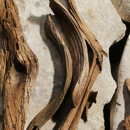 Set Light Blue Eau de Toilette & Travel Size