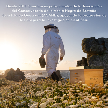 Abeille Royale Tractament Honey Bond Treatment sense Aclarit