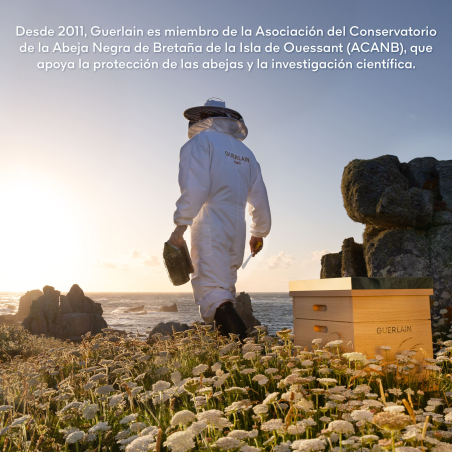 Set Abeille Royale Double R Renew & Repair Advanced Serum