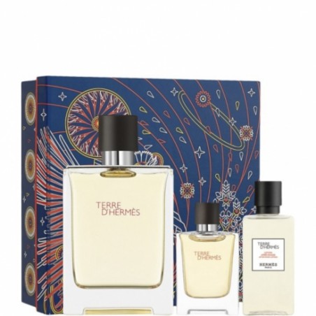 TERRE D'HERMÈS COFRE (EDT V100-ASL 40)