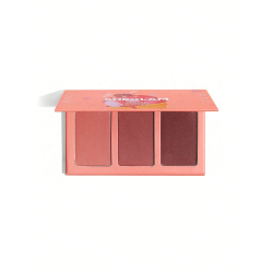 Sweet Cheeks Trio Paleta Colorets