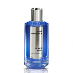 Silver Blue Eau de Parfum 120 ml
