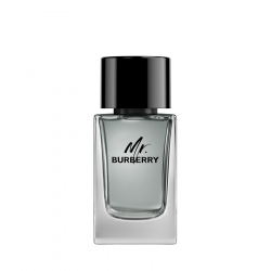 MR BURBERRY EDT