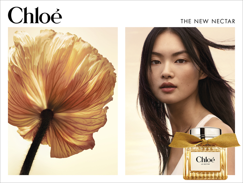 Le Nectar parfum intense per a dona Chloe