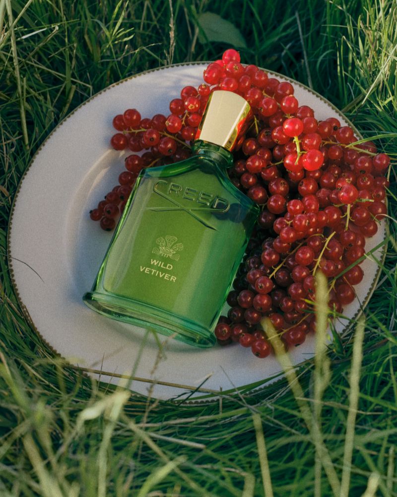 Creed Wild Vetiver