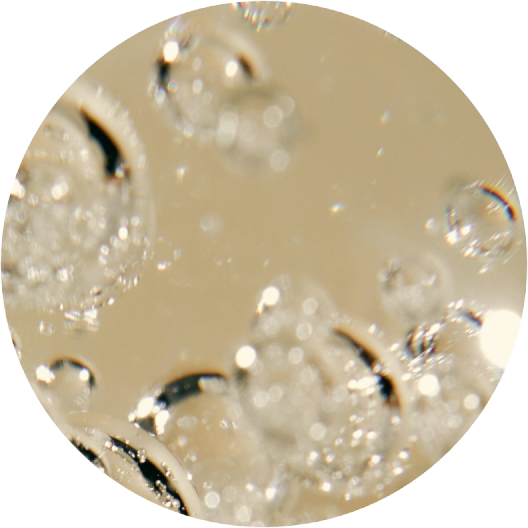 ingredient Age Cell Complex Age Filler Júlia Bonet