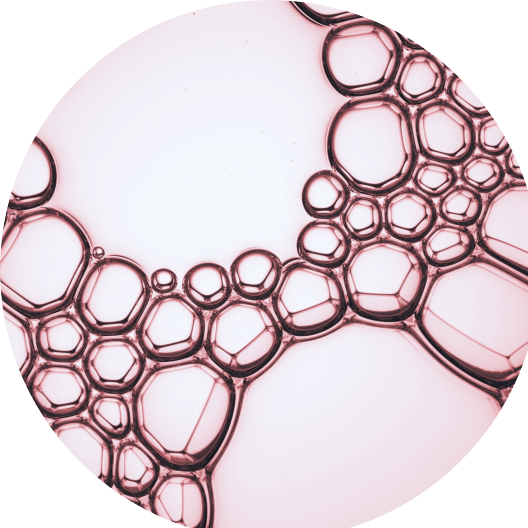 ingredient L-ornithine Aminoacid Age Filler Júlia Bonet