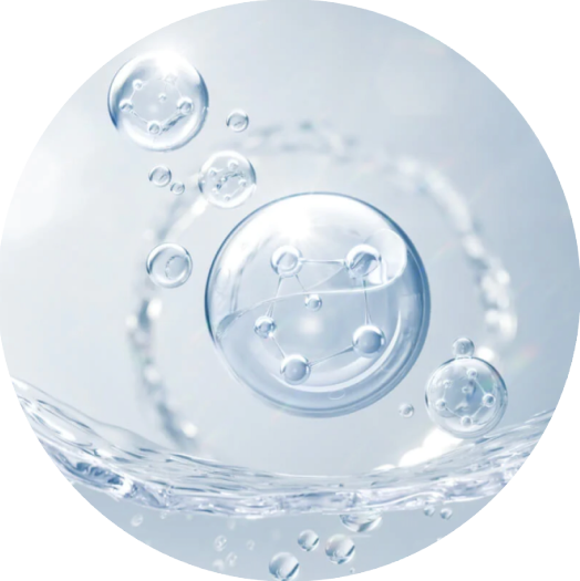 ingredient Acetyl GTX Extreme Júlia Bonet ingredient Acetyl GTX Extreme Júlia Bonet