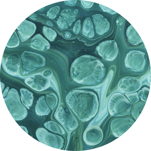 ingredient Bio Complex GF5 Júlia Gold