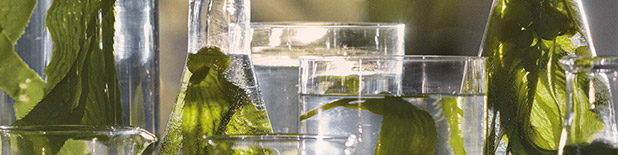 cura de la pell i maquillatge la mer