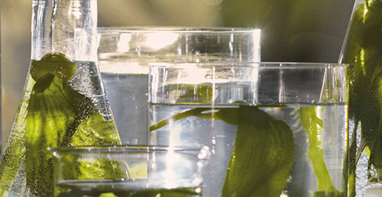 cura de la pell i maquillatge la mer