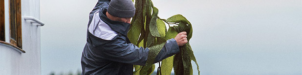 comprar productes la mer