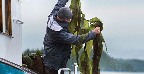 comprar productes la mer