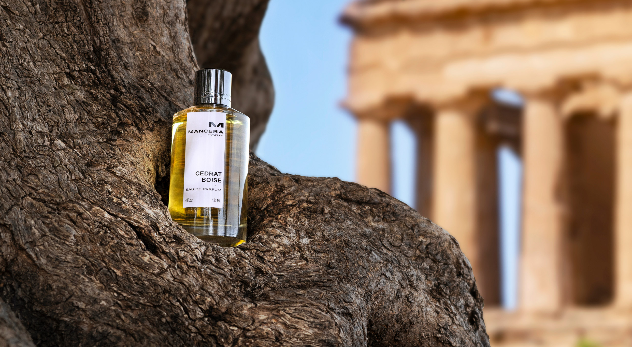 Mancera intense cedrat boise Mancera intense cedrat boise