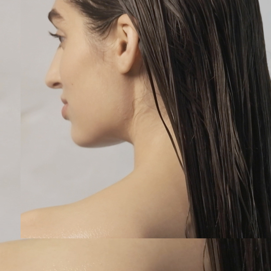 netejar i alliberar Miriam Quevedo