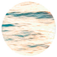 perfums amb acords marins Montale