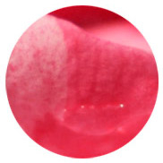 perfums amb acords de roses Montale