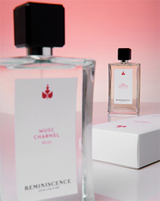 Les Recontres Reminiscence Les Recontres Reminiscence