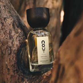 producte Nout Día del pare