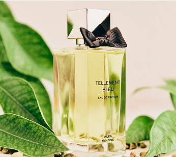 perfums dia del pare notes aromàtiques