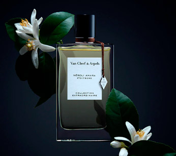 perfums dia del pare notes florals