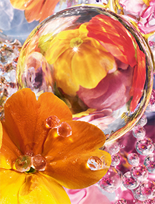 Guerlain Aqua Allegoria perle florabloom eau de parfum Edició Limitada